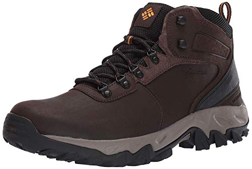 Best Shoes For Ups Drivers