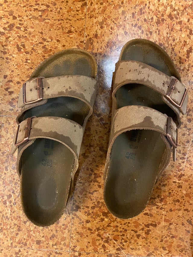 What to Do With Wet Birkenstocks